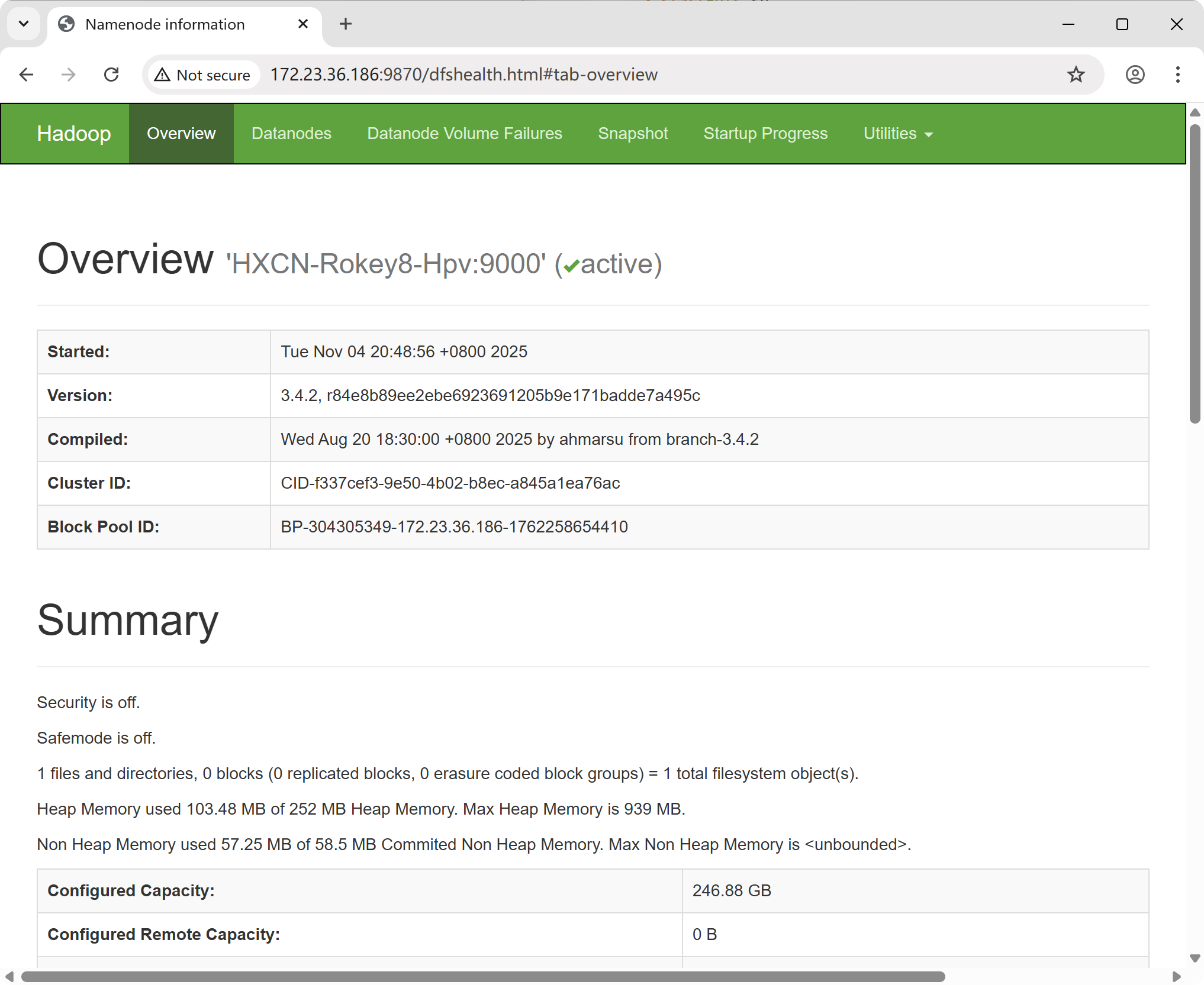 Hadoop NameNode Web UI