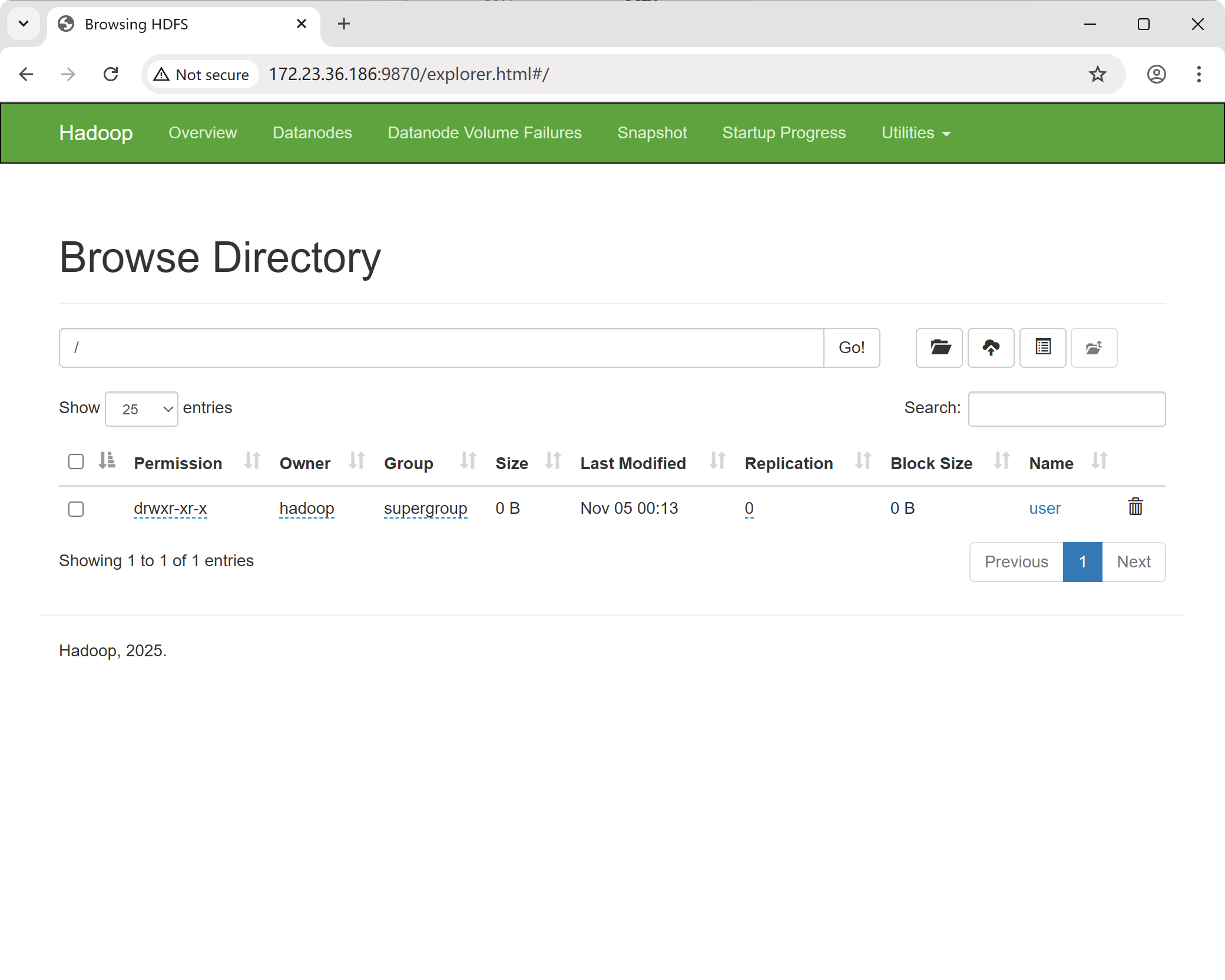 Browsing HDFS in NameNode UI
